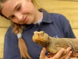 Personen Ticket & Tier