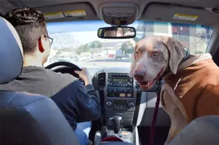 Abhol- und Bringservice